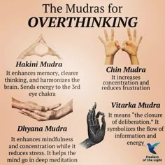 915992b3c880ab463a6d2fb81fe6ff4b